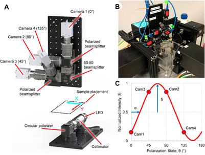 Single shot quantitative <mark class="highlighted">polarized light</mark> imaging system for rapid planar biaxial testing of soft tissues